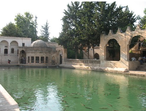 STASIOTIKA EDESA, “LA CODICIADA”