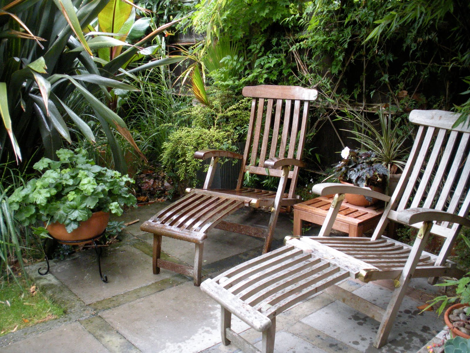 Victoria's backyard Describe your garden in 50 words