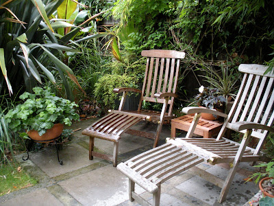 Victoria's backyard: Describe your garden in 50 words