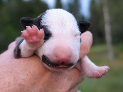 hi five high five