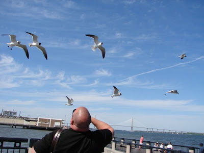 My wonderful groom taunting the sea gulls
