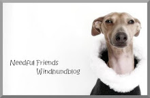 Needfulfriends Windhundblog