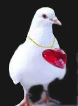 Love is pain full