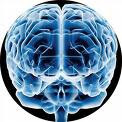 CEREBRO