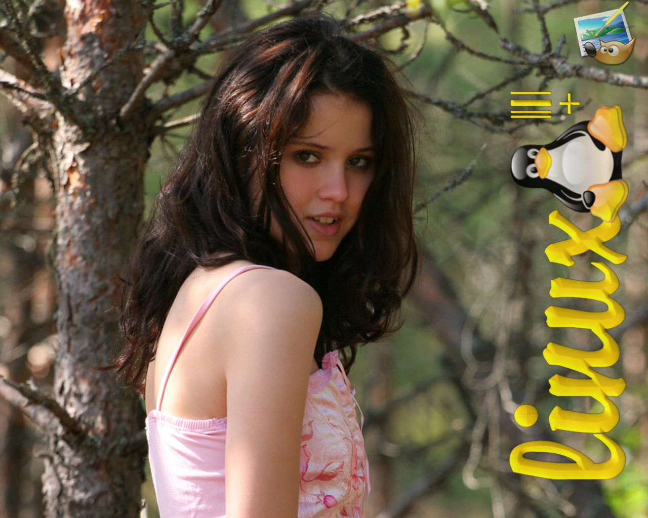 [Virginia Model papel de parede-Gimp-Tux]