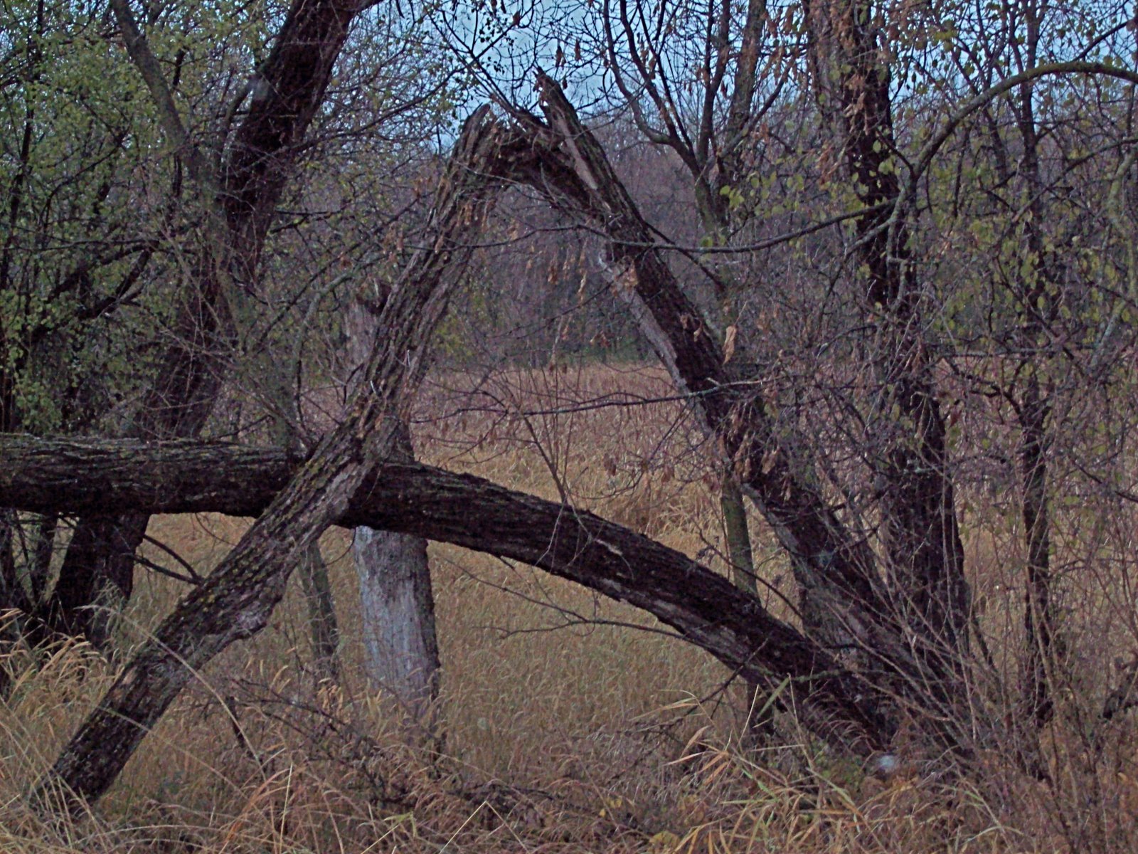 [101_0161.JPG]