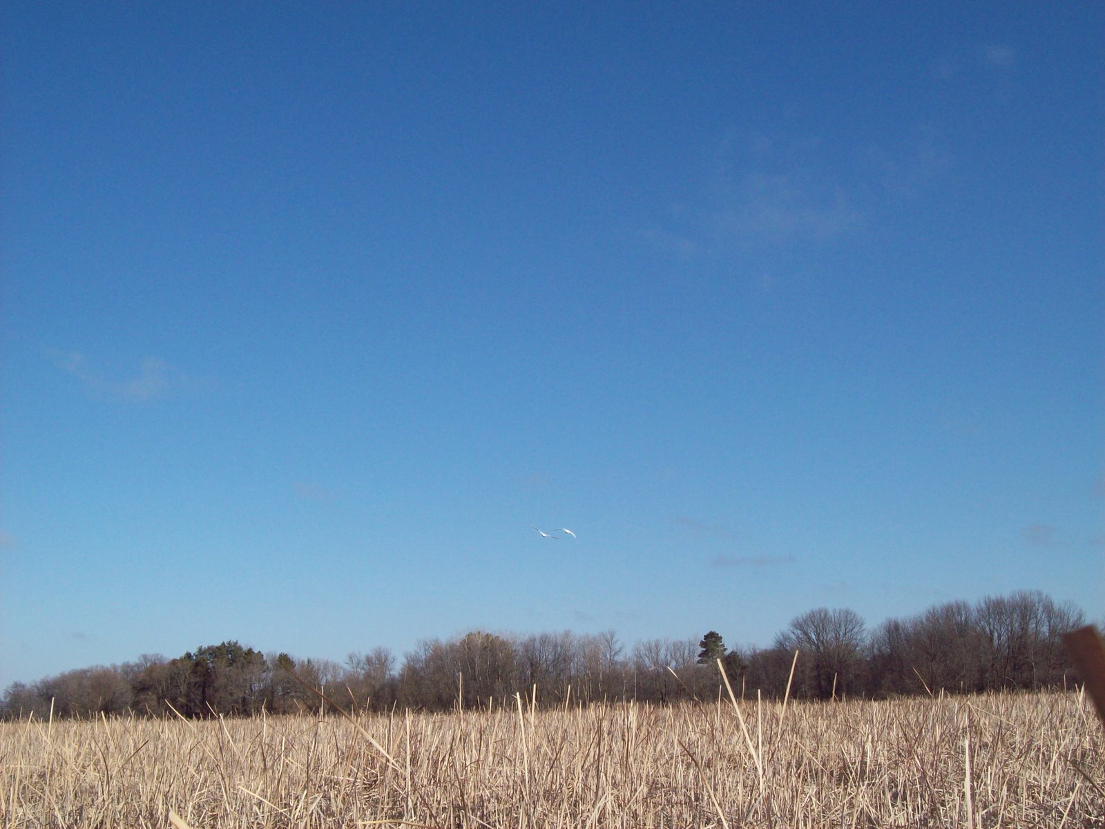[101_0597.JPG]