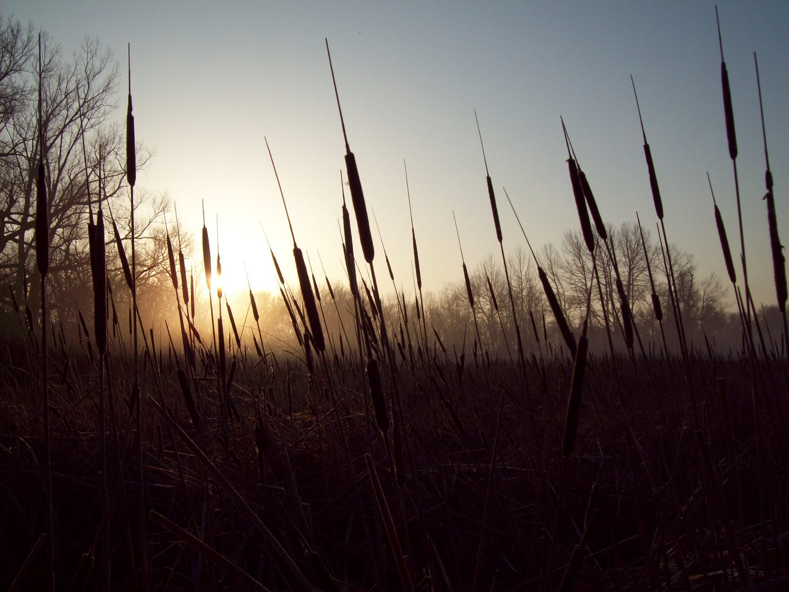 [101_0537.JPG]