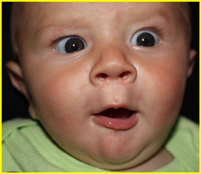 [Roman+5+Months-02.jpg]