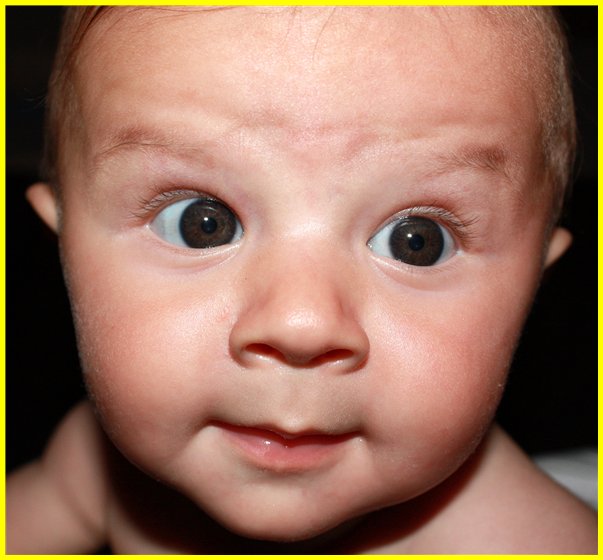 [Roman+5+Months-16.jpg]