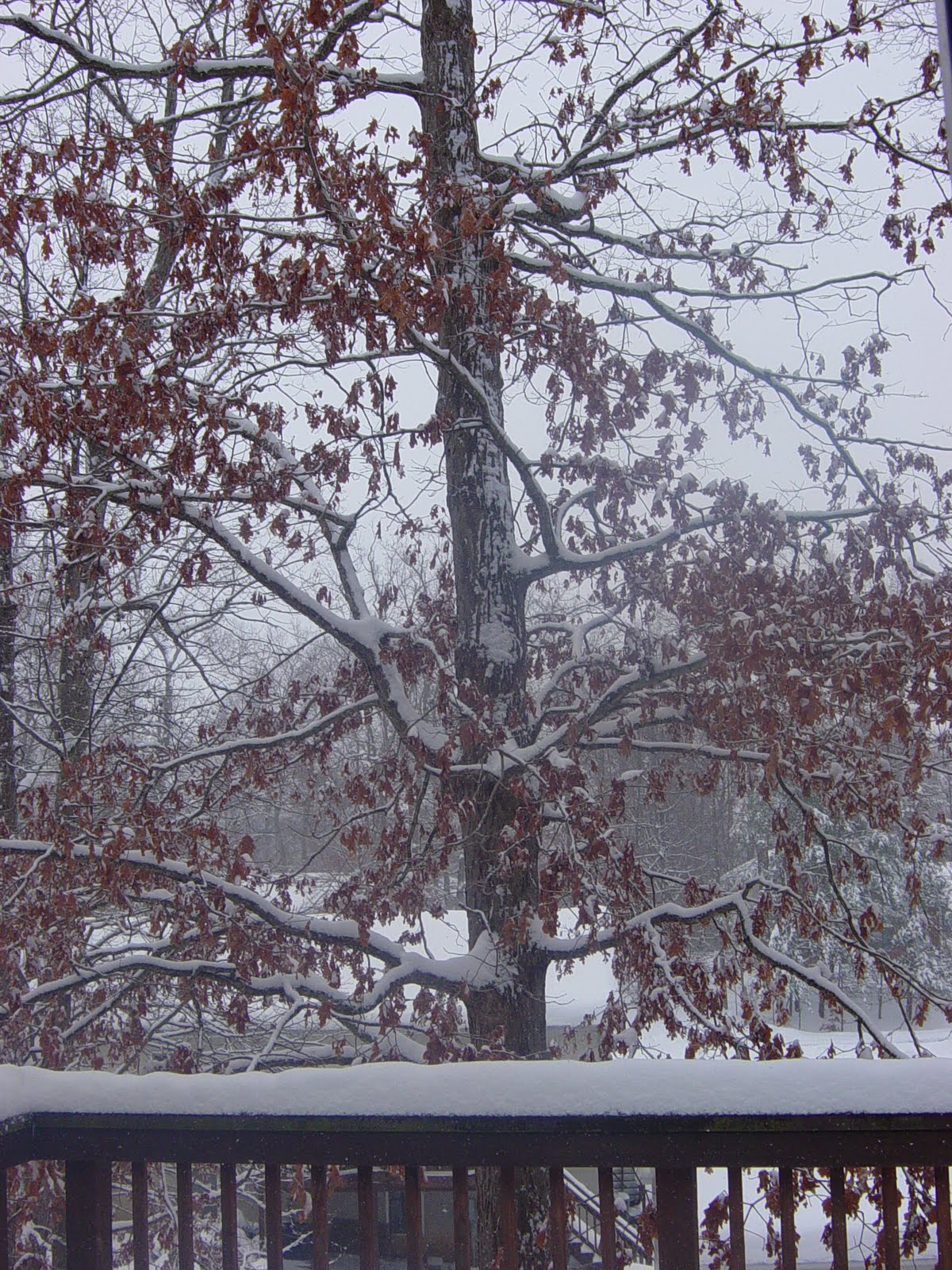 [DSC01576.JPG]