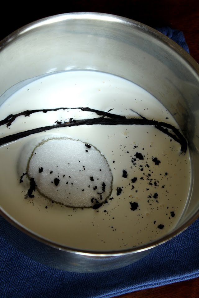 [Cream,+sugar+and+vanilla.JPG]