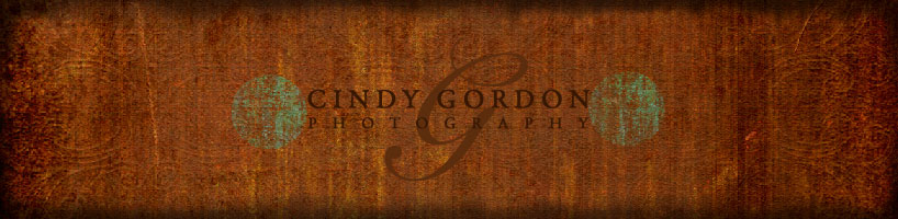 Cindy Gordon Photography