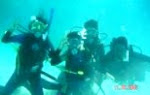 We SCUBA , but we care for the underwater environment