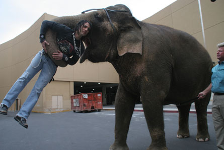 G C W: Criss Angel Wallpapers and Biography