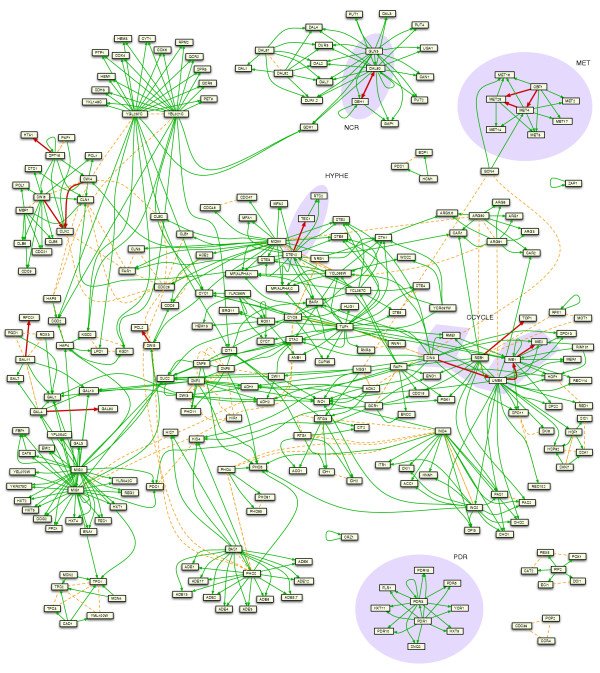 [network+graph+2.jpg]
