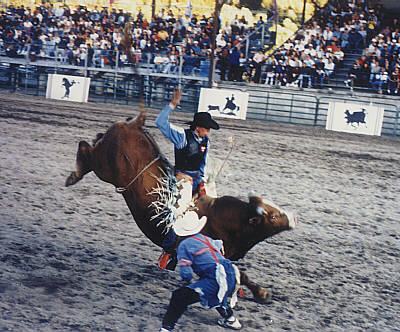[rodeo.jpg]