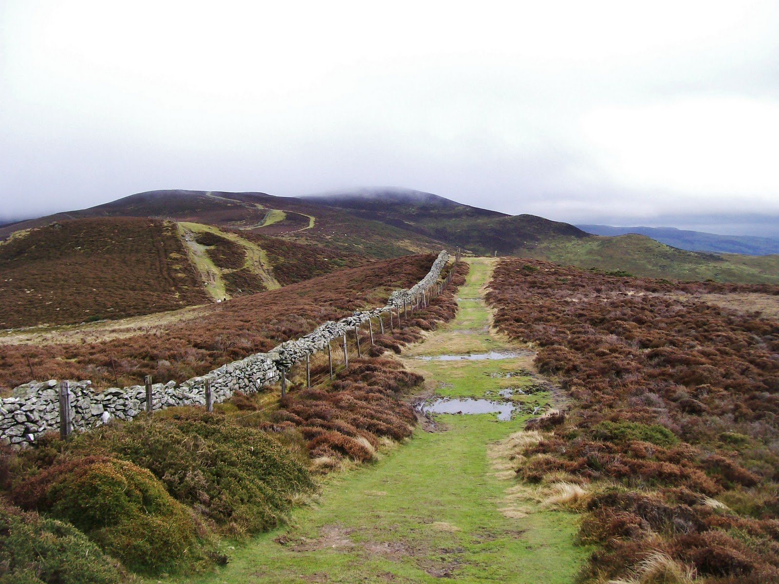 A Welsh man walking.: #5.Afonwen to Loggerheads.13-1-11.