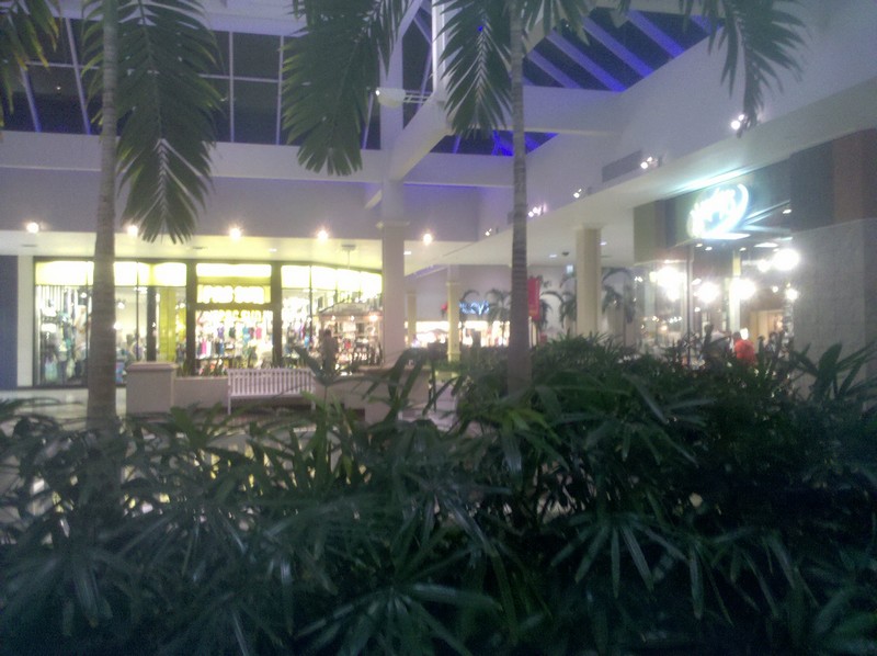American Dirt: Mall rot: how they do it in Dixie.