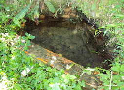 Fonte Água Mineral Sitio Saltinho Mafra SC