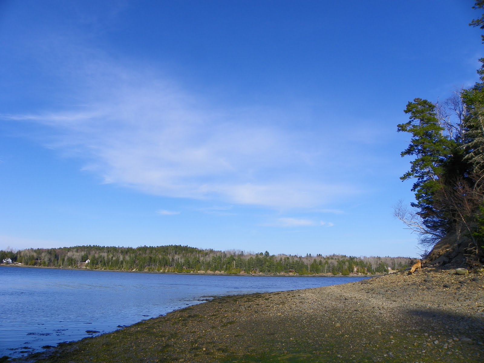 The Adventures of Joshua and Tilley Spoon Island Evening Hike, Part 2