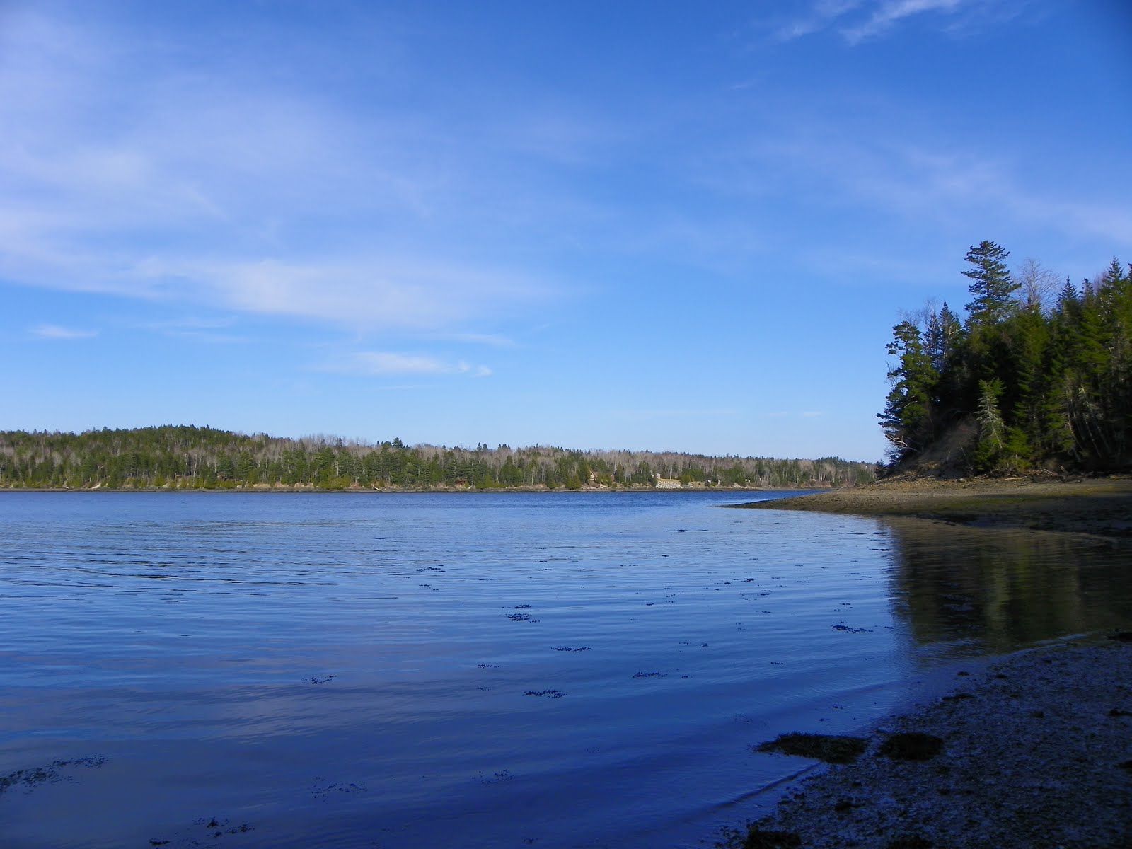 The Adventures of Joshua and Tilley Spoon Island Evening Hike, Part 2