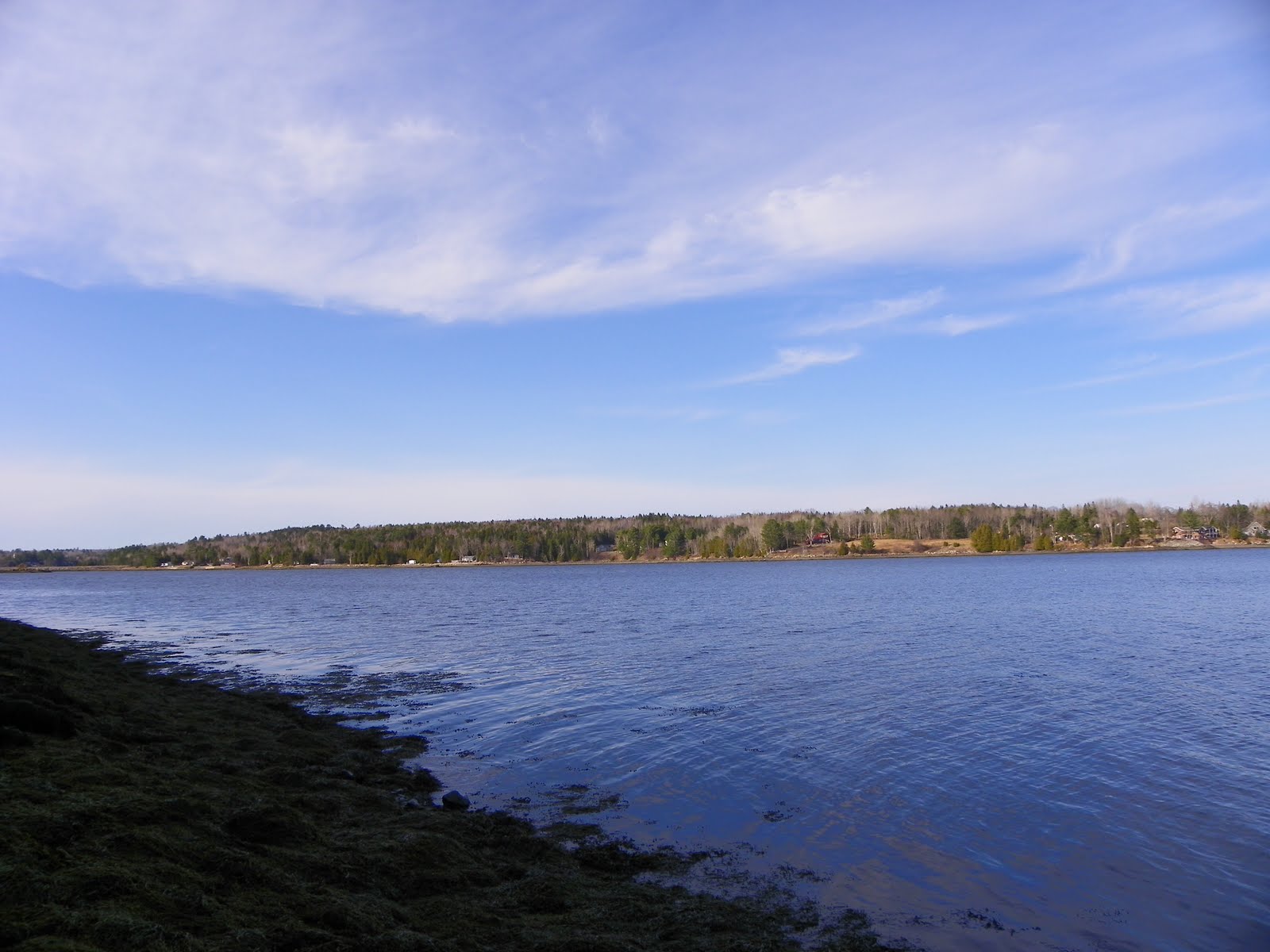 The Adventures of Joshua and Tilley Spoon Island Evening Hike, Part 2