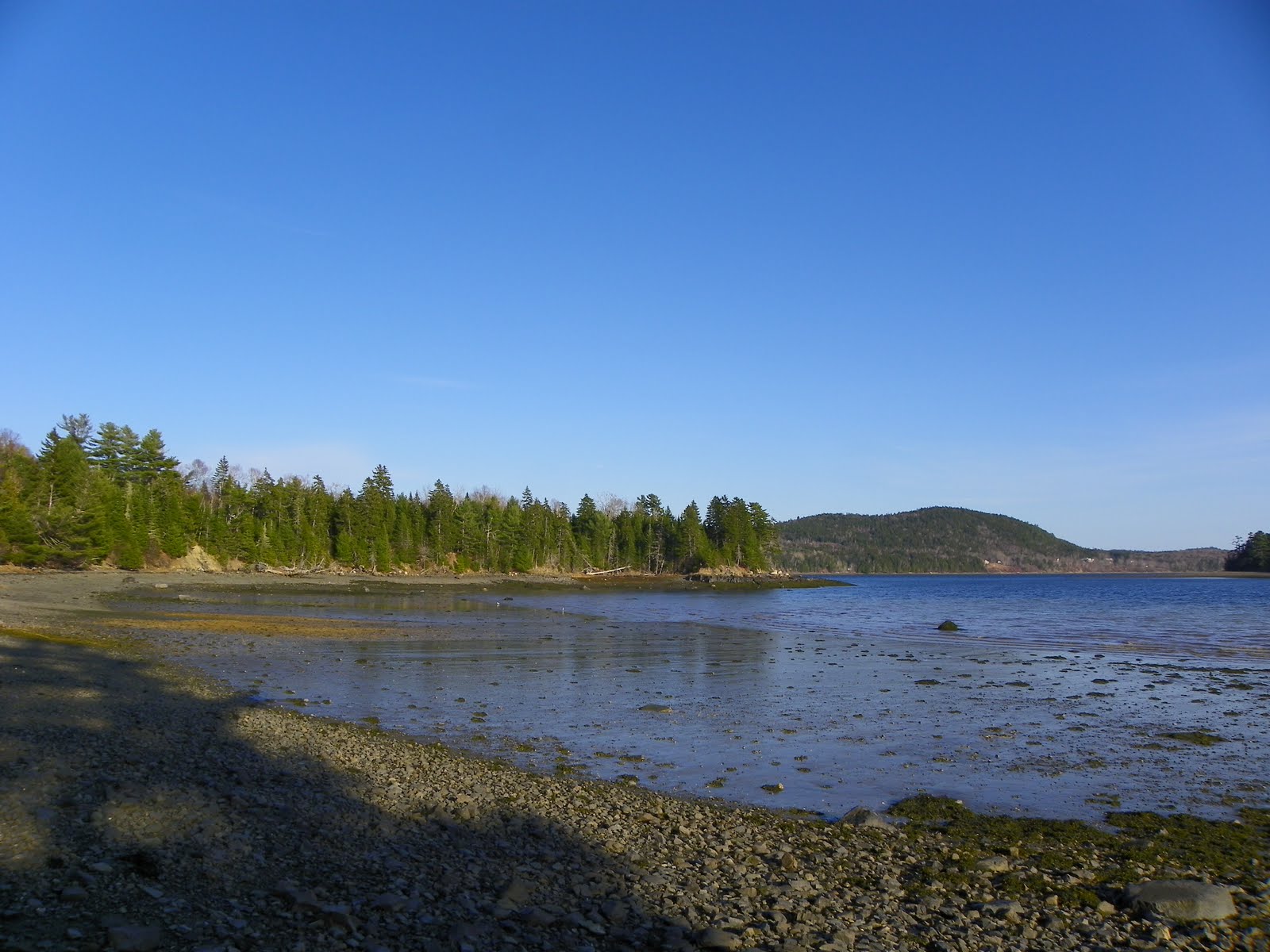 The Adventures of Joshua and Tilley Spoon Island Evening Hike, Part 3