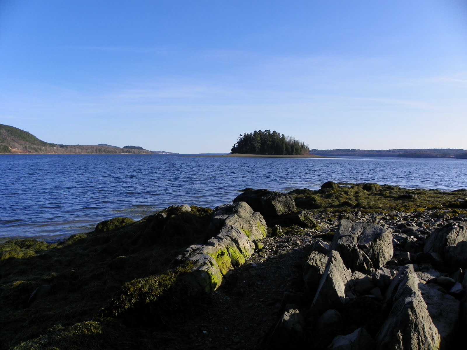 The Adventures of Joshua and Tilley Spoon Island Evening Hike, Part 3