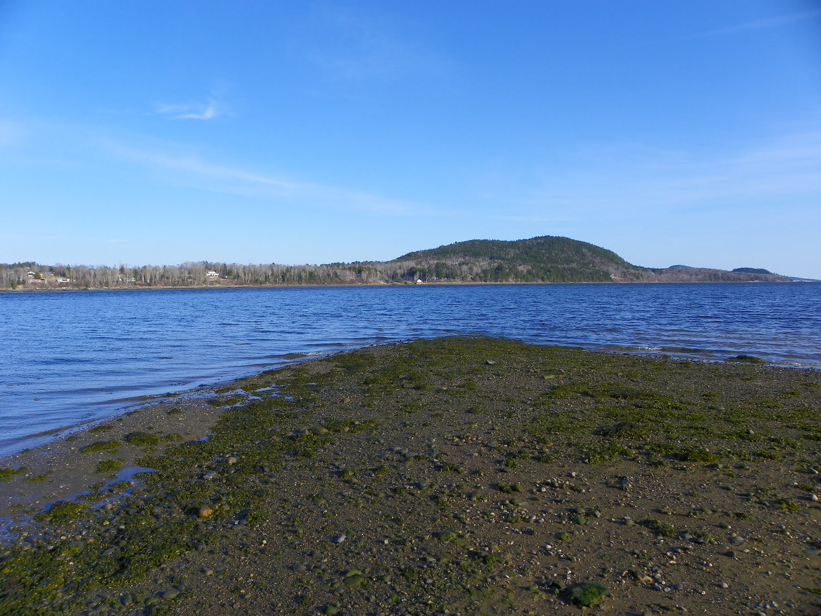 The Adventures of Joshua and Tilley Spoon Island Evening Hike, Part 3
