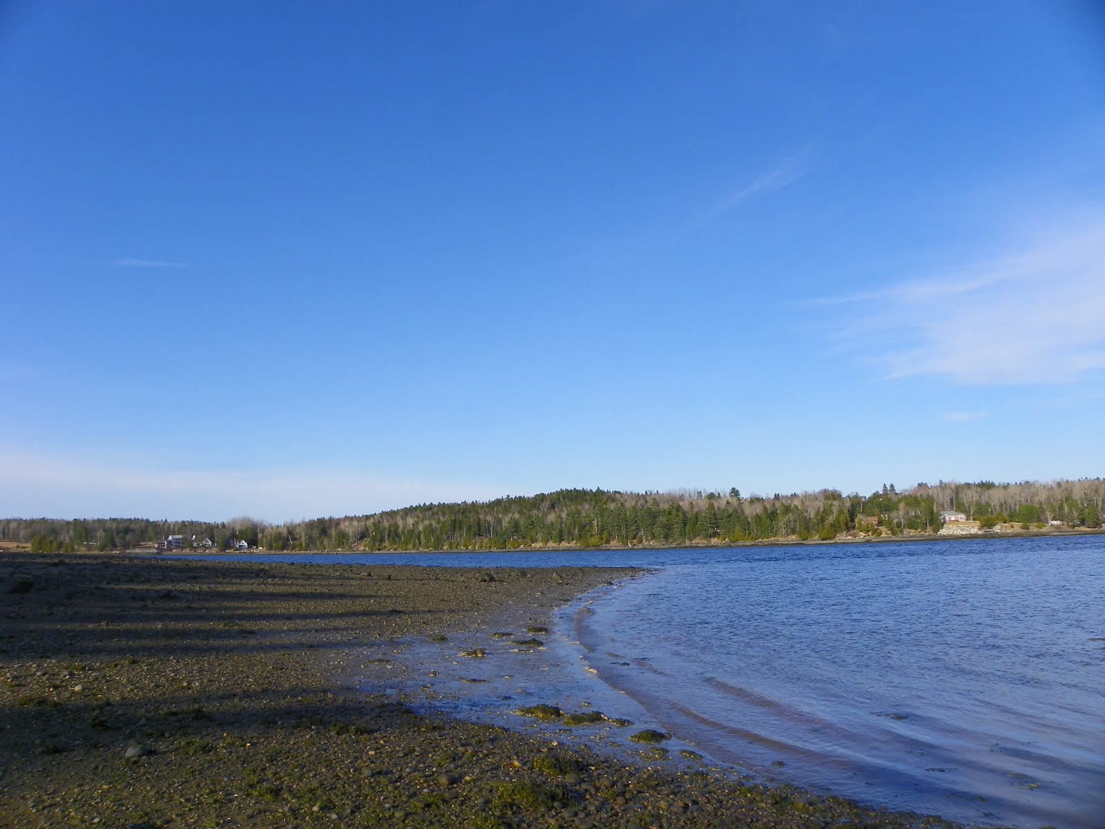 The Adventures of Joshua and Tilley Spoon Island Evening Hike, Part 3