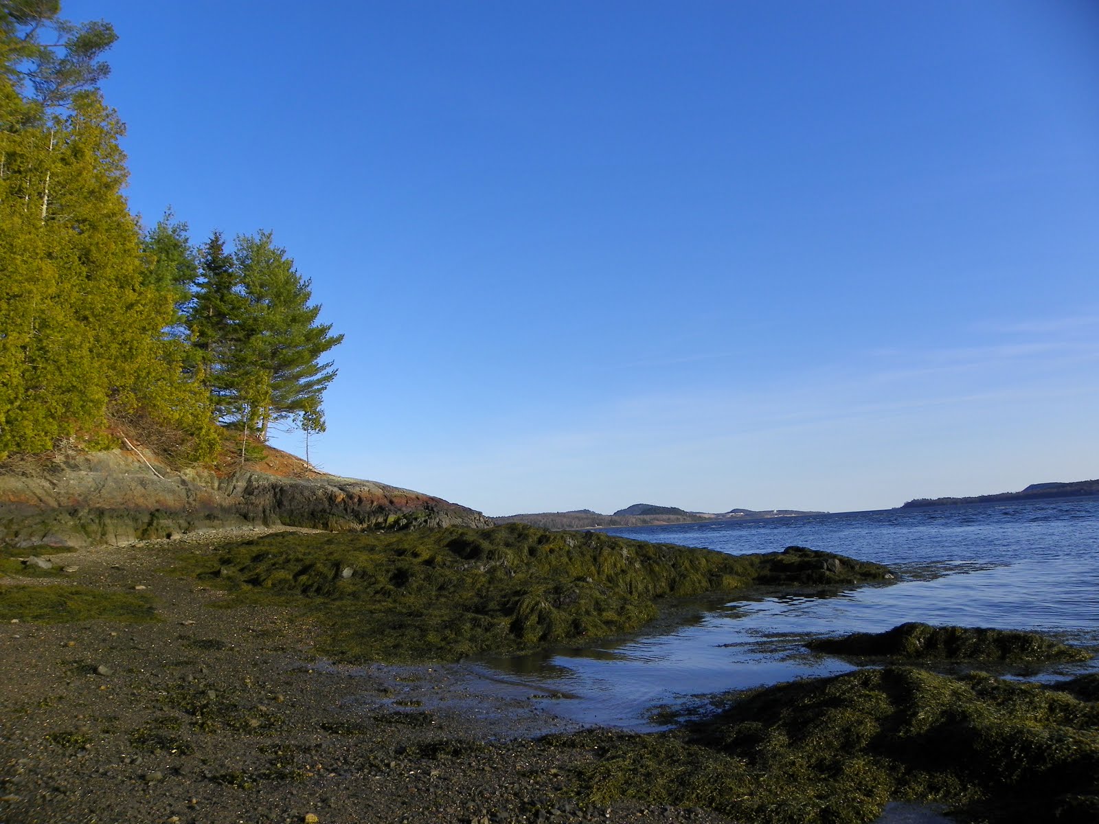 The Adventures of Joshua and Tilley Spoon Island Evening Hike, Part 4