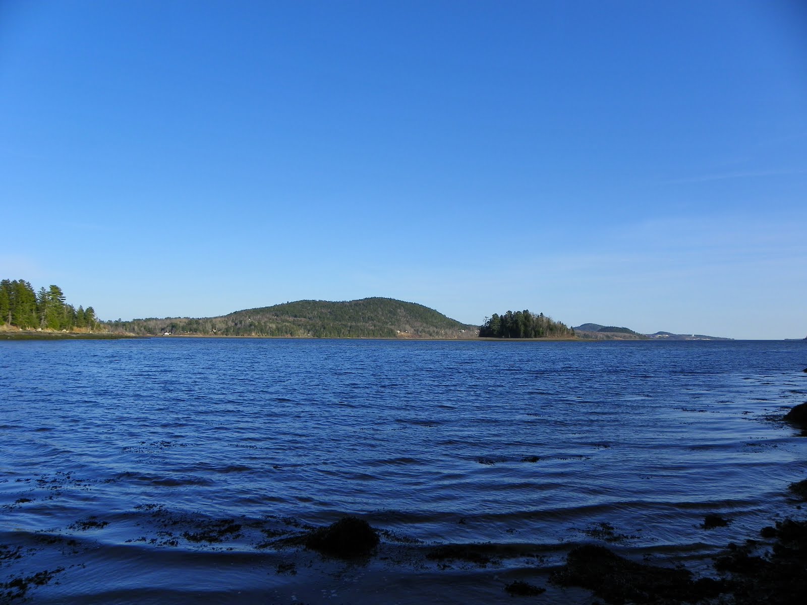 The Adventures of Joshua and Tilley Spoon Island Evening Hike, Part 4