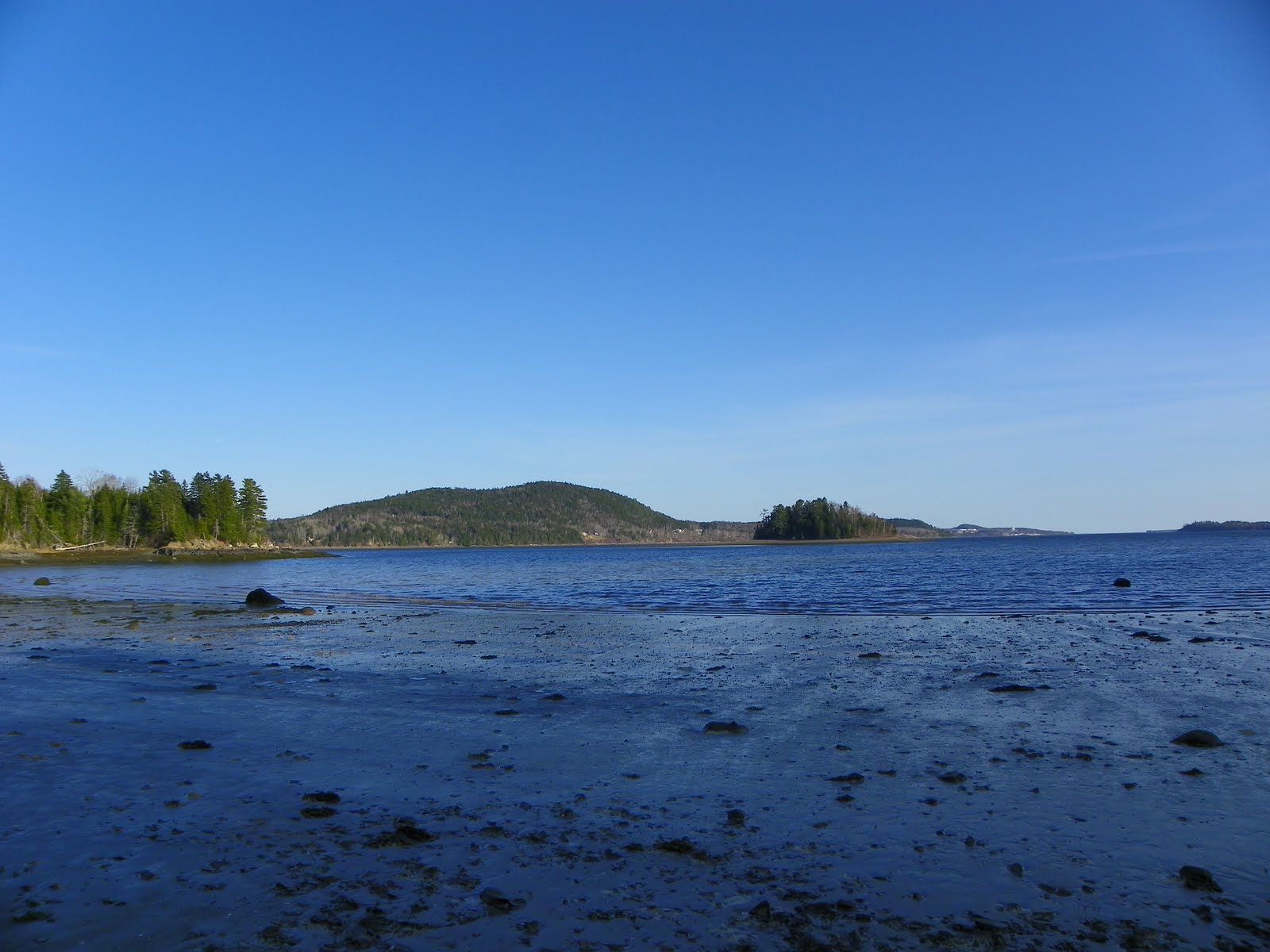 The Adventures of Joshua and Tilley Spoon Island Evening Hike, Part 4