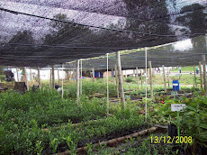 Tecnoparque Agroecologico Yamboro