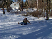 A ride on the LUGE