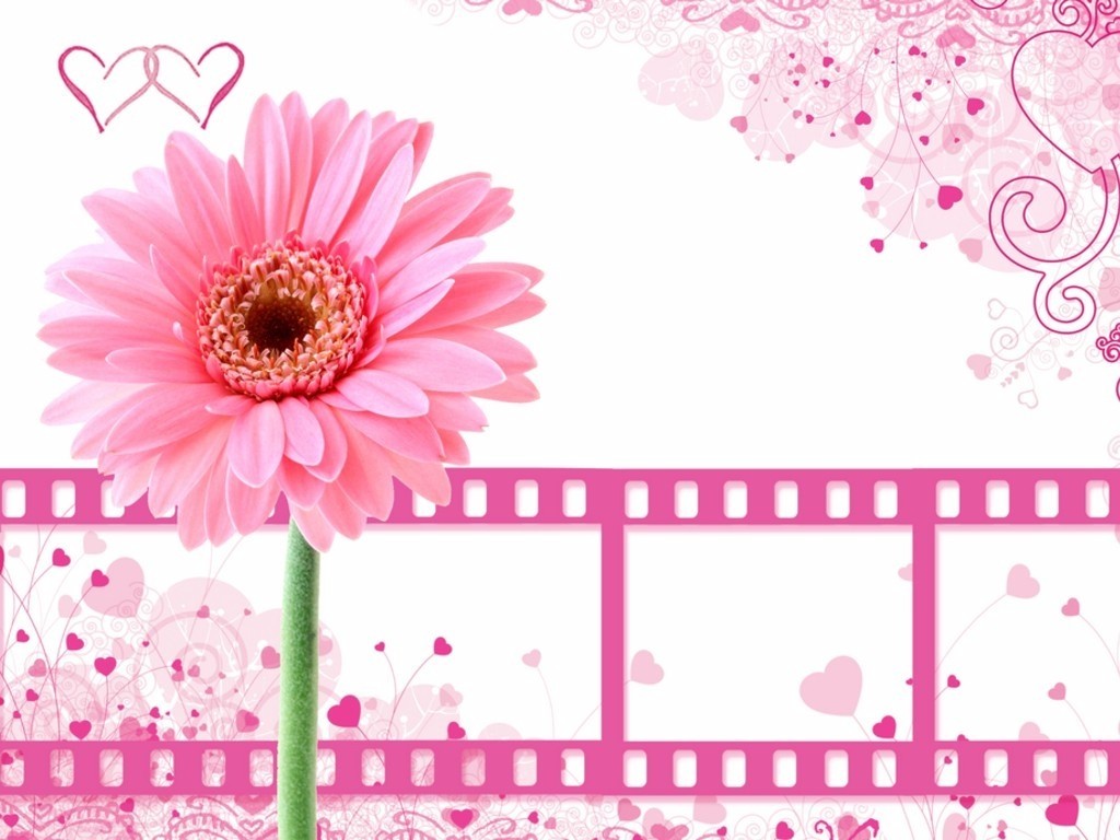 http://3.bp.blogspot.com/_14grgzfQGYA/TKS7FFcnIaI/AAAAAAAABM0/tQW23hxWiCw/s1600/pink-background-with-film-clips.jpg