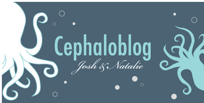 Cephaloblog