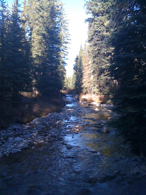 Jackson, Wyoming 11-2