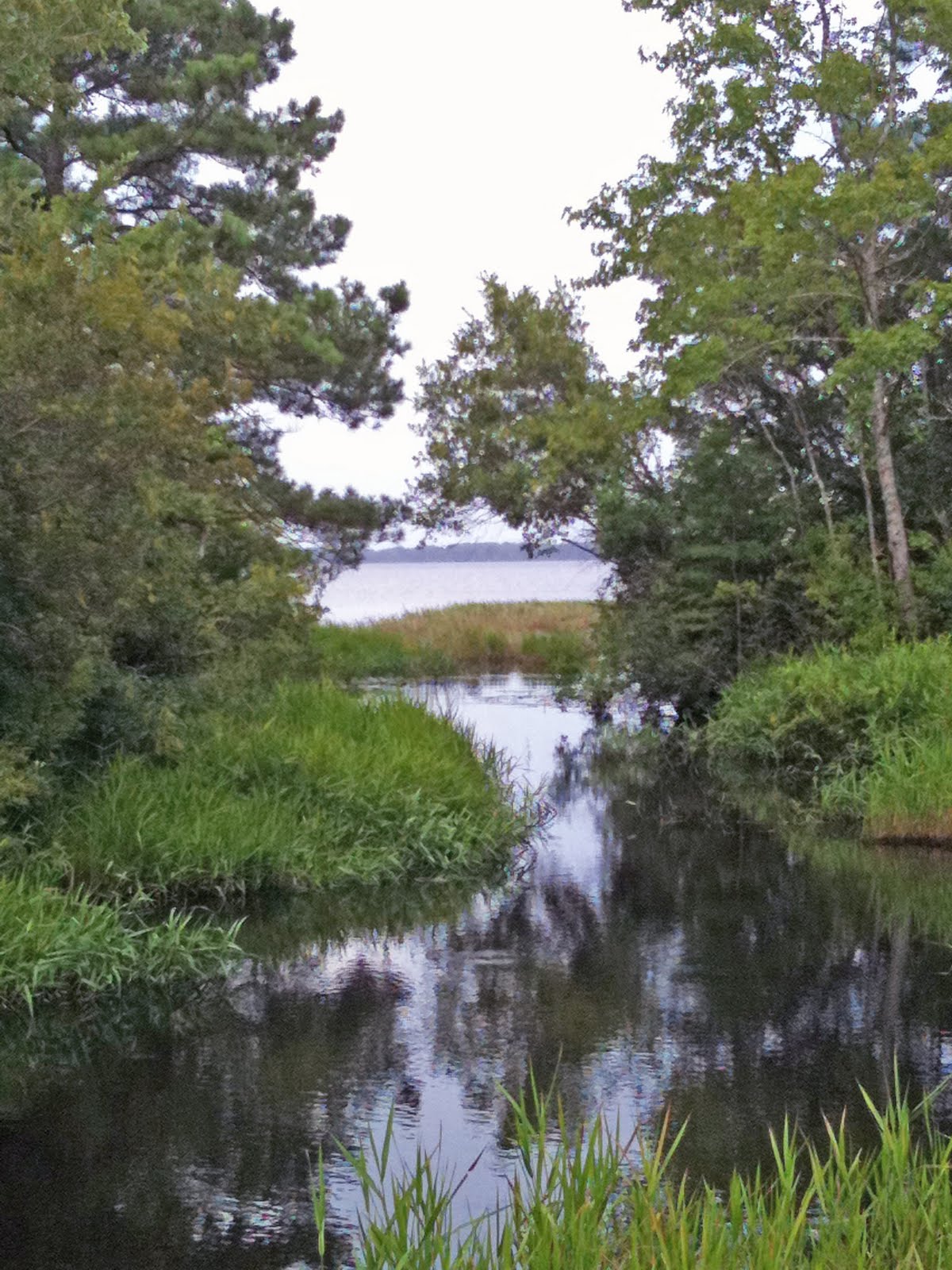 A Day in the Life of Me Picture of the Day Croatan National Forest