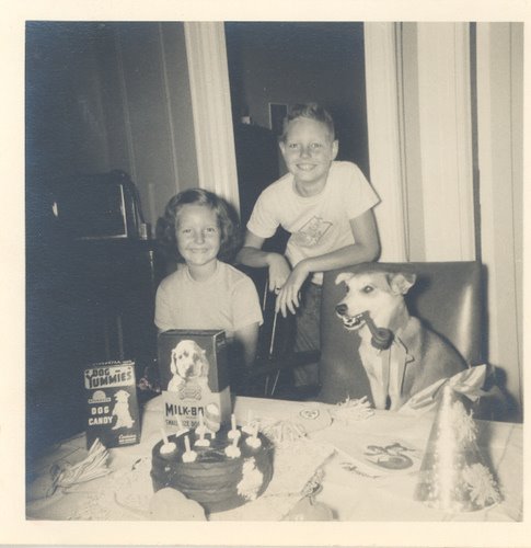 [43048241_89bfebbb60.jpg]