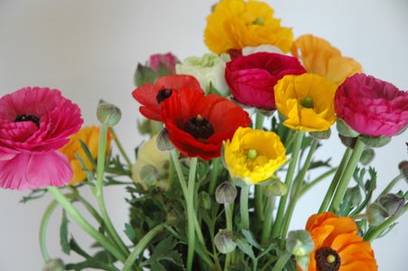 [3979144729_b4722fe00d.jpg]