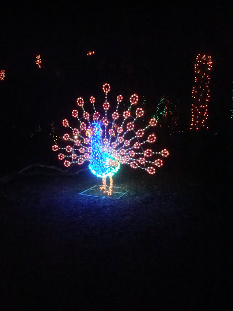 ZooLights at Phoenix Zoo - Floradise