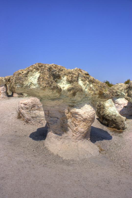Stone huge. Каменные грибы Болгария. Каменный гриб в Израиле. Каменный грибок в Австралии на людях. Giant Stone Mushrooms.