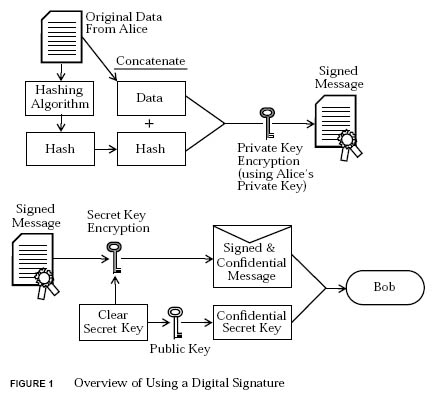 Public Key Infrastructure: Public Key Infrastructure