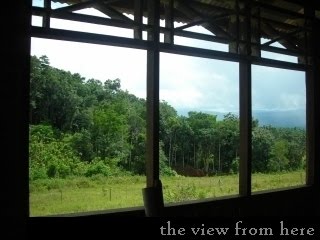 theviewfromhere