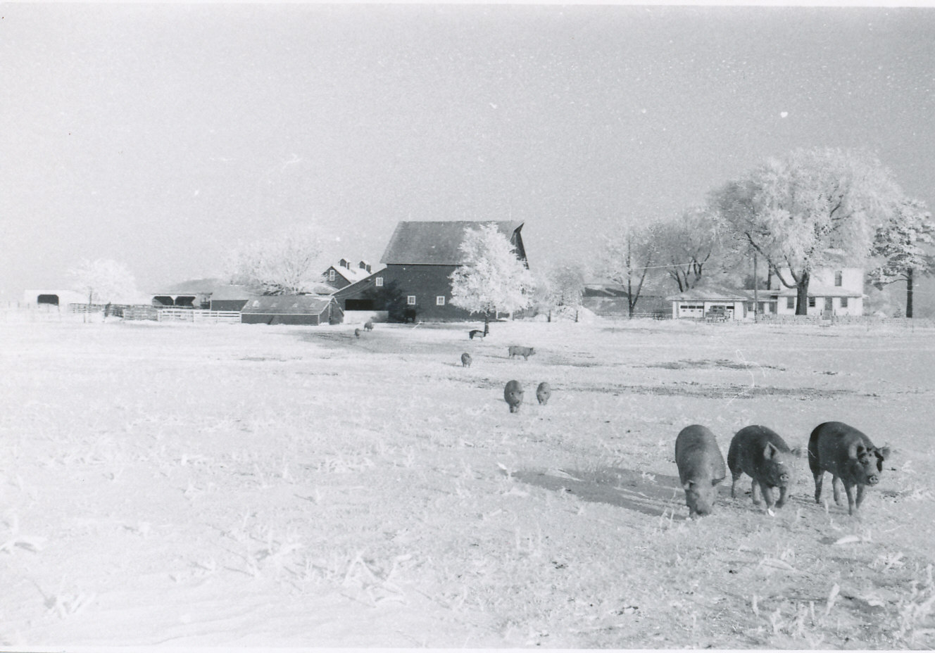 HOMES OF GLEN NOVINGER 1970