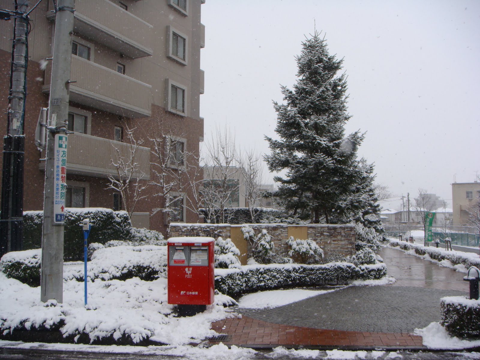 JAPAN through my eyes More White Christmas pictures