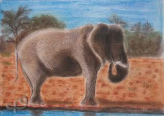 elefant, cintaferré