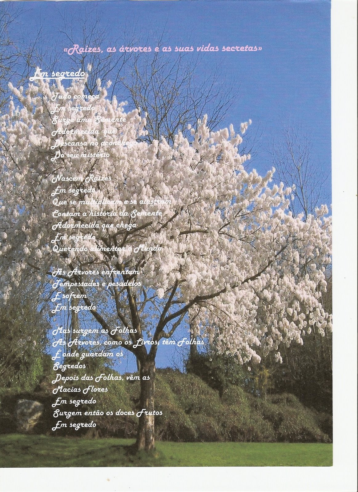 [Digitalizar0010.jpg]